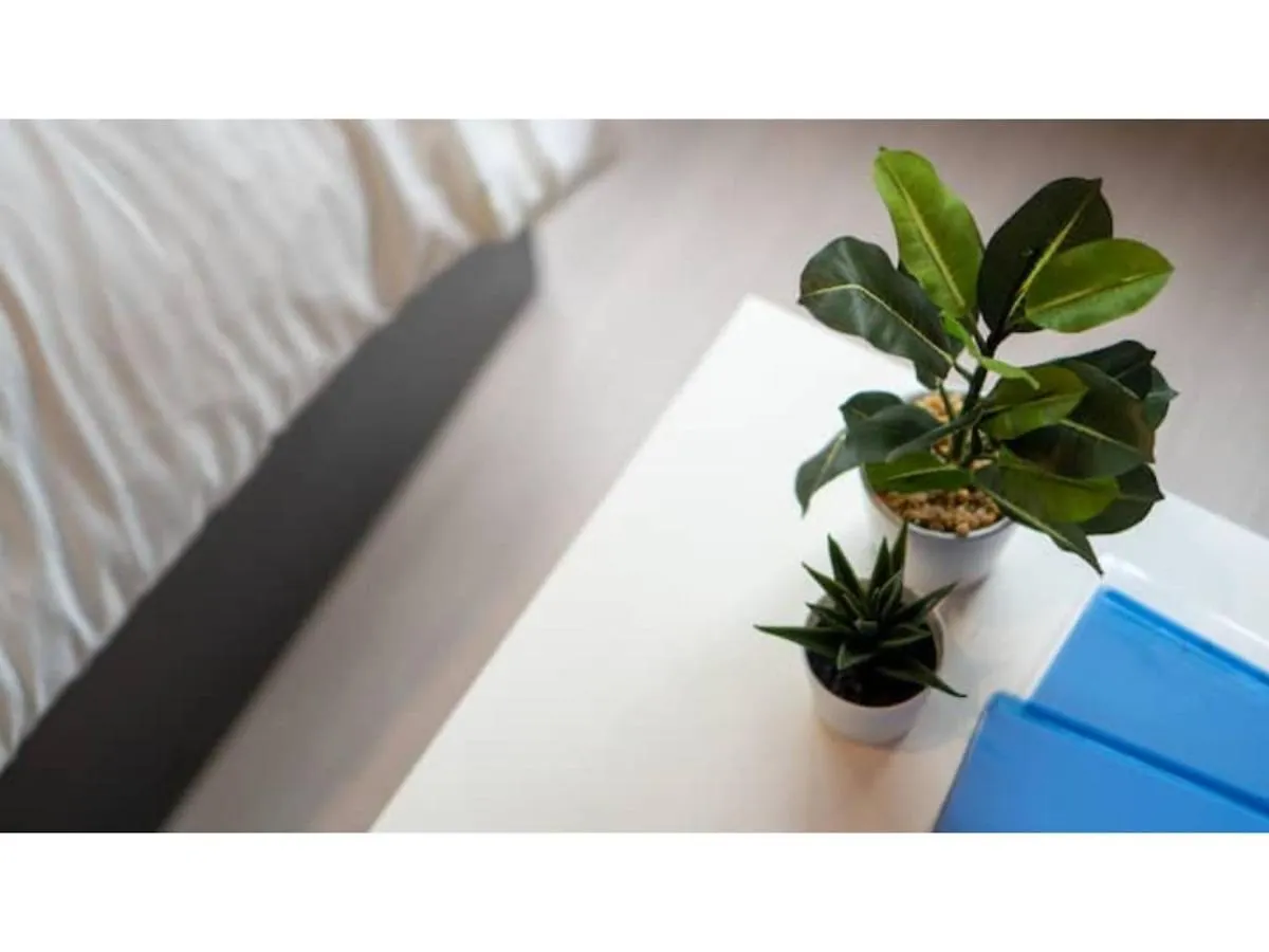 Hakugei Ryokan 2 - Vacation Stay 31011V Prefektura Tokio Japonsko